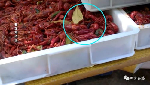 深夜加工的小龍蝦調(diào)料 小區(qū)食品加工點(diǎn)背后的隱患